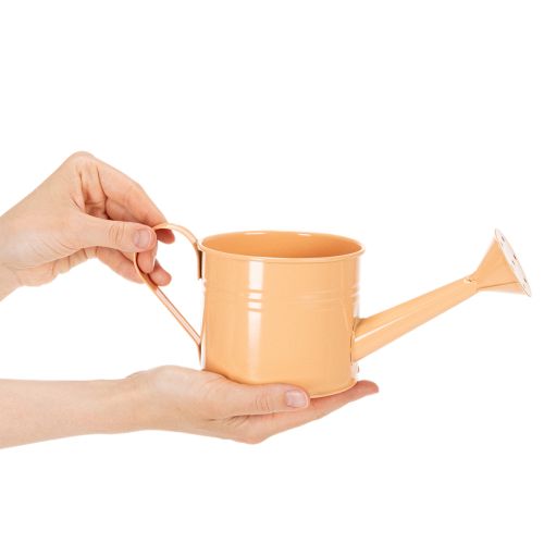 Dekorativt vattenkannaset i pastellfärgad lax, grön, gulgrön - metallkruka Ø11cm H10cm, 8 delar | Floristik24.se