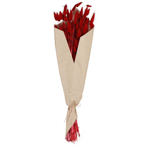 Floristik24 Dekorativt Gräs Röd Lagurus Torkade Blommor Kanin Svans Gräs 50g
