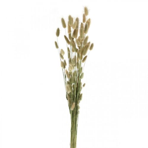 Artikel Torkad Lagurus, Lagurus torkade blommor, Naturligt Lagurus gräs L30–70cm 45g