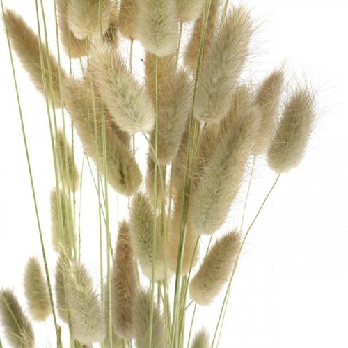 Artikel Torkad Lagurus, Lagurus torkade blommor, Naturligt Lagurus gräs L30–70cm 45g