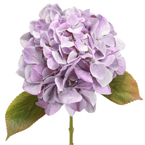 Dekoration Hortensior Konstgjorda Blommor Lila Blossom Ø18cm 69cm 2st
