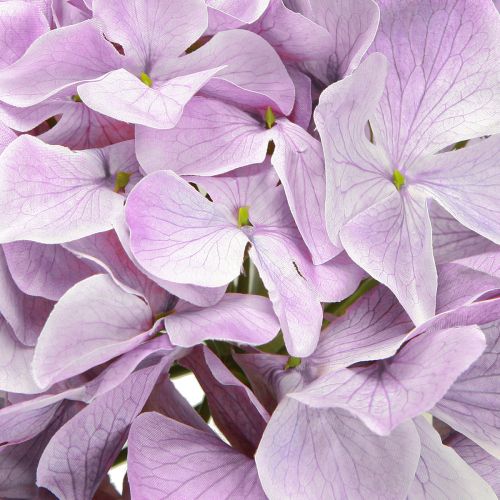 Artikel Dekoration Hortensior Konstgjorda Blommor Lila Blossom Ø18cm 69cm 2st
