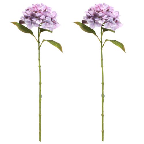Artikel Dekoration Hortensior Konstgjorda Blommor Lila Blossom Ø18cm 69cm 2st