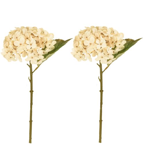 Artikel Dekorativa hortensior konstgjorda krämfärgade sidenblommor 34 cm 2 st