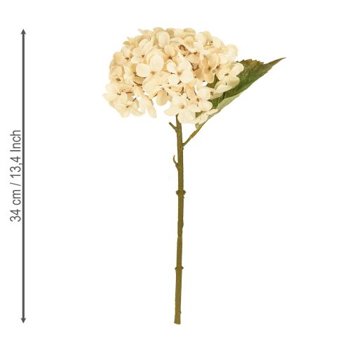 Artikel Dekorativa hortensior konstgjorda krämfärgade sidenblommor 34 cm 2 st