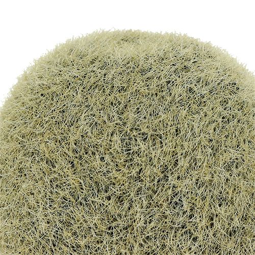 Floristik24 Dekorativ kiwi 6cm 6st