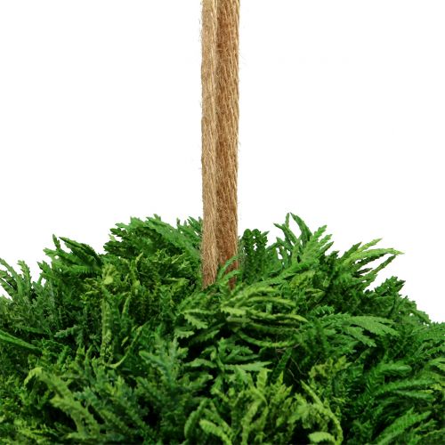 Artikel Konstgjord växtkula för upphängning av grön Ø20cm