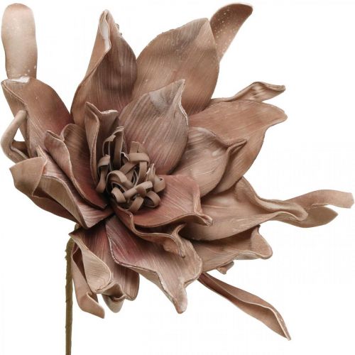 Floristik24 Deco lotusblomma konstgjord lotusblomma konstgjord blomma brun L68cm