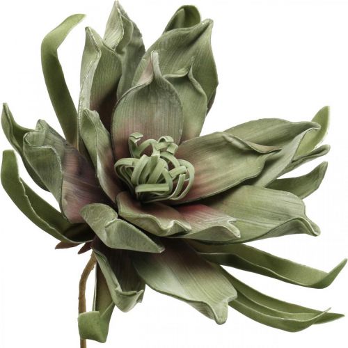 Floristik24 Deco lotusblomma konstgjord lotusblomma konstgjord blomma grön L70cm