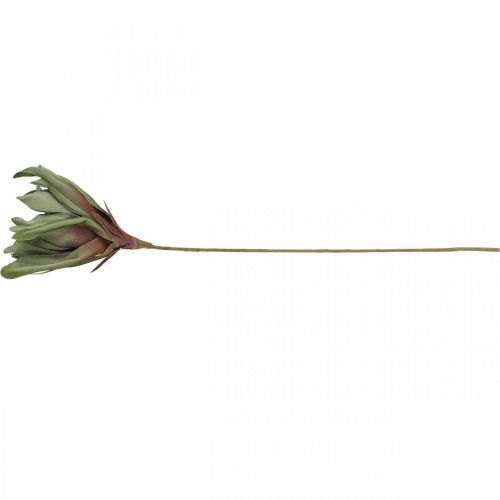 Floristik24 Deco lotusblomma konstgjord lotusblomma konstgjord blomma grön L70cm