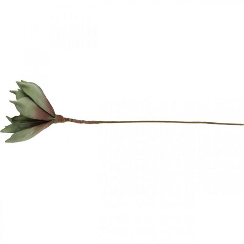 Floristik24 Deco lotusblomma, lotusblomma, sidenblomma grön L64cm