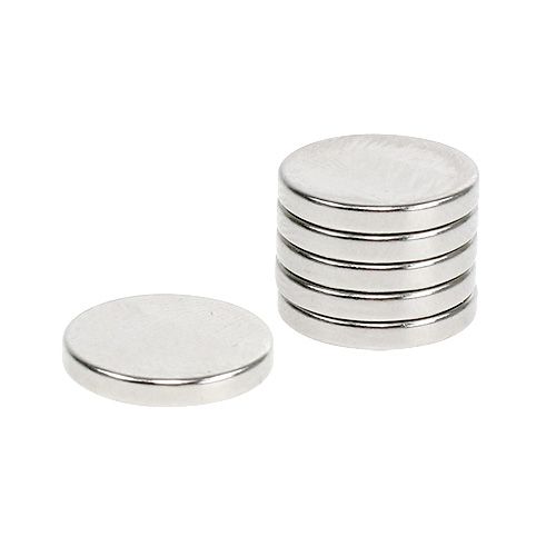 Floristik24 Dekorativa magneter Ø1,3cm 6st