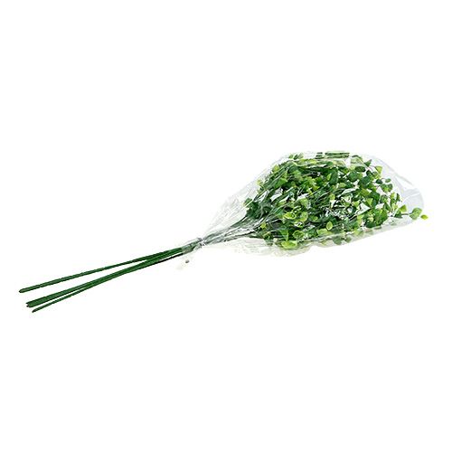 Floristik24 Deco mintkvist grön L74cm 6st