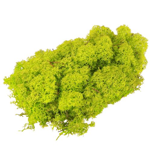 Artikel Deco mossa ljusgrön renmossa konserverad 400g