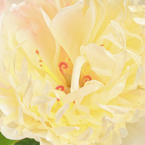 Artikel Dekoration Pioner Konstgjorda Blommor Gul Blossom L64cm 2st
