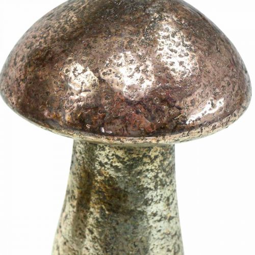 Floristik24 Deco svamp glas rosa bordsdekoration höst Ø6,5cm H10cm 3st