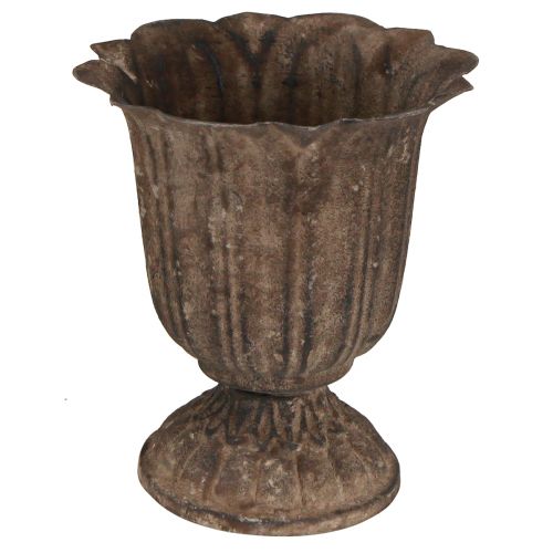 Floristik24 Dekorativ trofé antik miniväxtkruka gråbrun Ø12cm H13cm