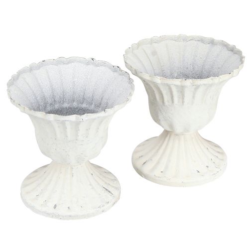 Floristik24 Dekorativ kopp Shabby Chic Chalice Vit Ø8cm H8,5cm 2st