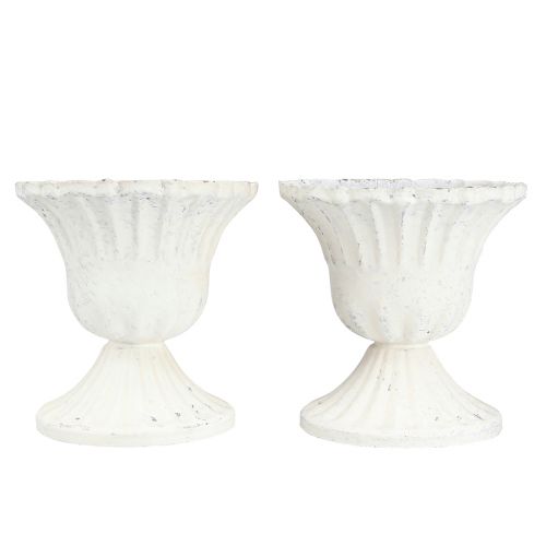 Floristik24 Dekorativ kopp Shabby Chic Chalice Vit Ø8cm H8,5cm 2st