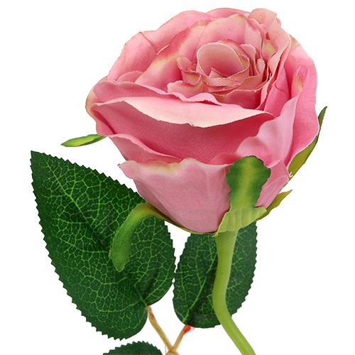 Floristik24 Dekorativ ros Ø6cm duskrosa L50cm 1p