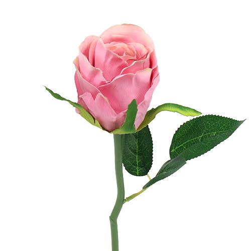 Floristik24 Deco rose Ø6cm rosa L30cm 6st