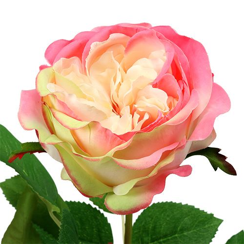 Floristik24 Deco rosorosa Ø10cm 52cm 3st