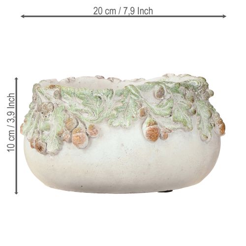 Artikel Dekorativ skål gjuten sten ekollon växtskål Ø20cm H10cm