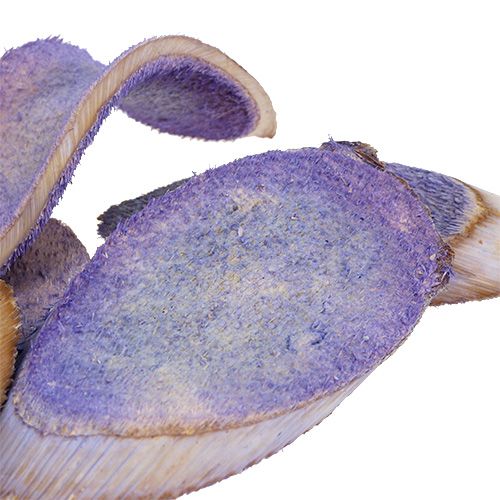 Floristik24 Dekorativa skivor ljuslila 300g