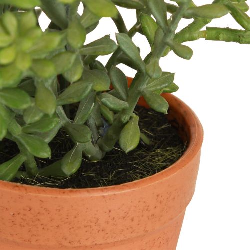 Artikel Dekorativ timjan i kruka Konstgjorda örter Köksdekoration 25cm