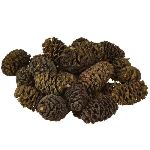 Dekorativa kottar av alträ, naturliga för dekoration, 3-4 cm, 200 g