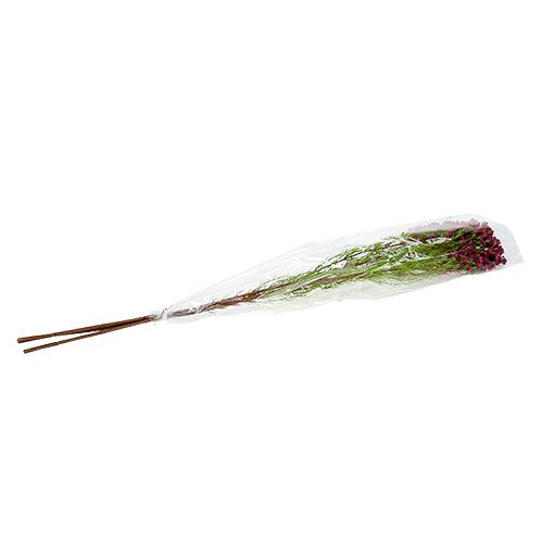 Floristik24 Deco gren med blommor Erika 80cm 3st