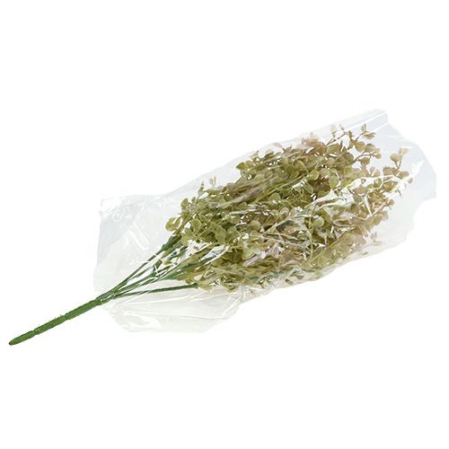 Floristik24 Dekorativ gren ljusgrön 35cm