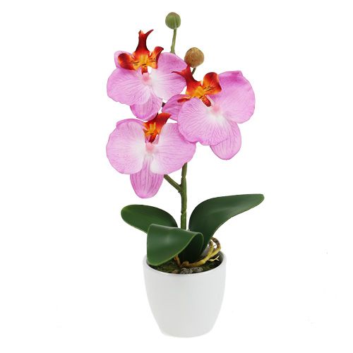 Floristik24 Dekorativ orkidé i en rosa kruka H29cm
