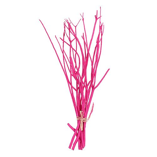 Floristik24 Deco grenar Mitsumata 45-60cm rosa 12p