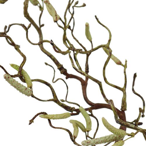 Floristik24 Dekorativ björkgren 68cm
