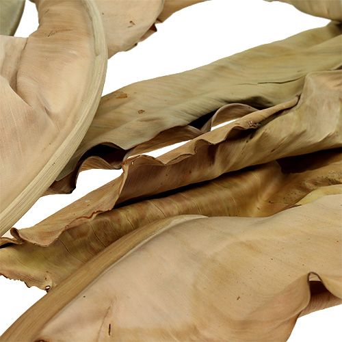 Floristik24 Dekorativa blad natur 120cm 20 st