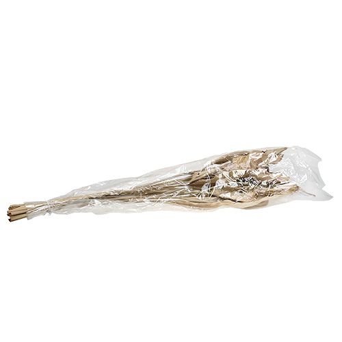 Floristik24 Dekorativa blad natur 120cm 20 st