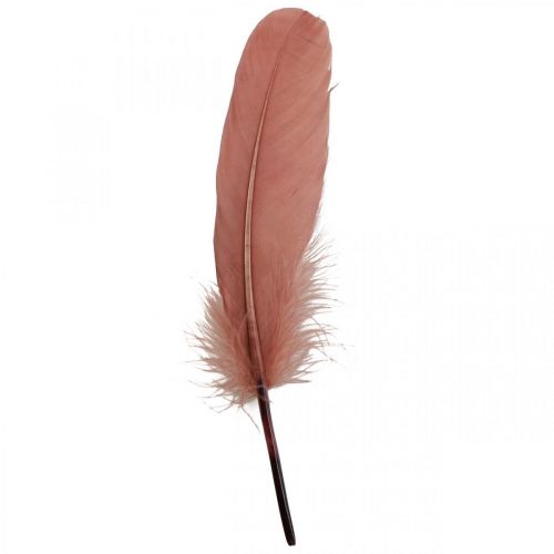 Artikel Dekorativa fjädrar för pyssel gamla rosa äkta fågelfjädrar 20g