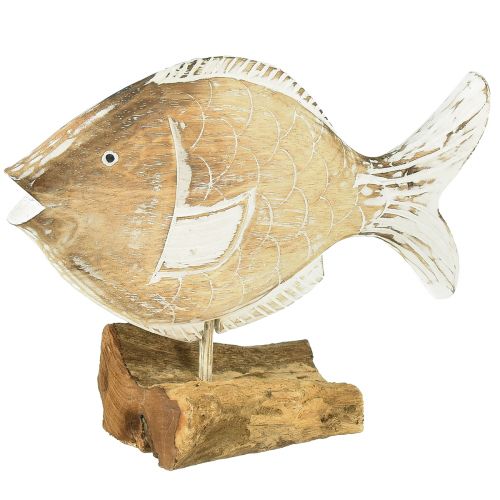 Floristik24 Dekorativ fisk trästativ på rot maritim dekoration 27cm