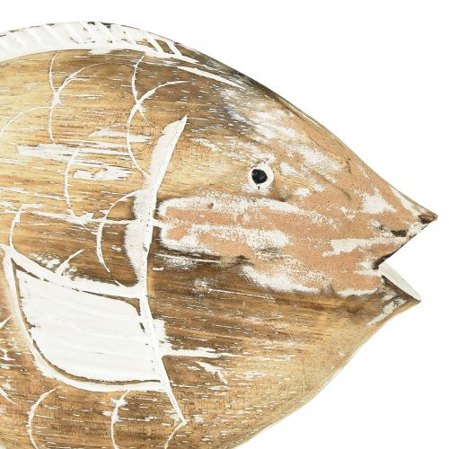 Floristik24 Dekorativ fisk trästativ på rot maritim dekoration 27cm