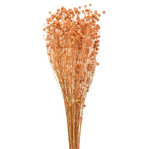 Floristik24 Deco Lin Torkade Torkade Blommor Aprikos Natur 80g