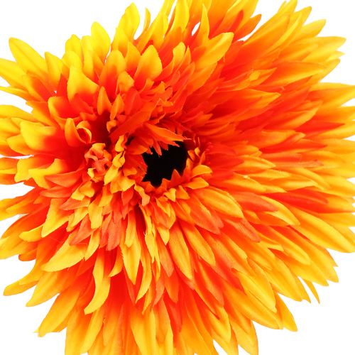 Artikel Dekorativ Gerbera Orange Ø15cm L88cm