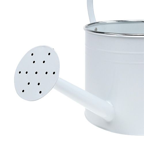 Floristik24 Dekorativ vattenkanna vit Ø17cm H17cm 1p