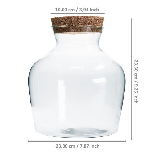 Floristik24 Dekorglas med kork Dekorativ vas klar lökformad Ø20cm H21cm