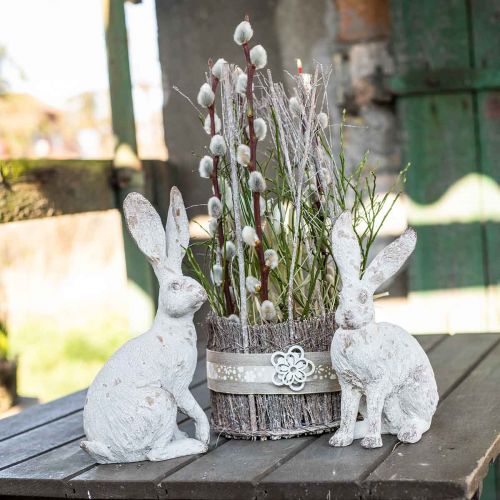 Floristik24 Dekorativ kanin sittande shabby chic vårdekoration H25cm 2st