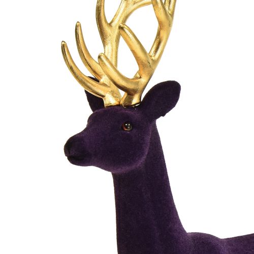 Floristik24 Deco hjort ren lila guld flockad figur H37cm