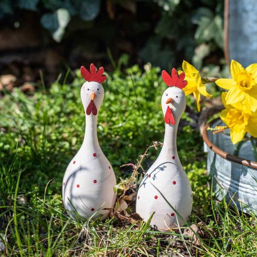 Floristik24 Dekorativt kycklingved vit med prickar påskfigur Ø7cm H20cm