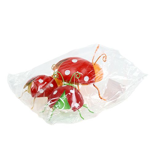 Floristik24 Deco skalbagge assorterade färger 8cm 3st