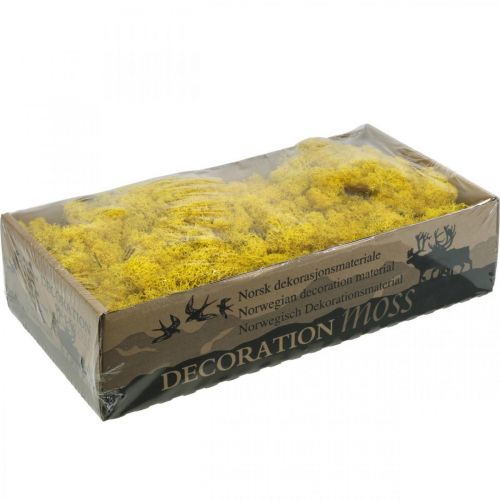 Floristik24 Deco mossgul renmossa för hantverk citrongul 500g