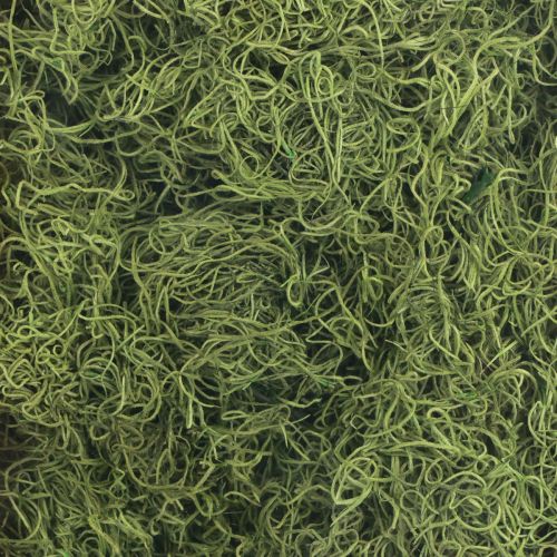 Artikel Dekorativ mossatorkad skogsmossagrön naturlig dekoration 300g